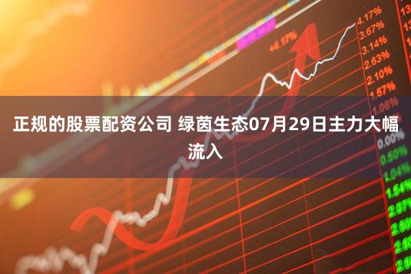 正规的股票配资公司 绿茵生态07月29日主力大幅流入