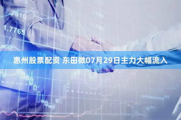 惠州股票配资 东田微07月29日主力大幅流入